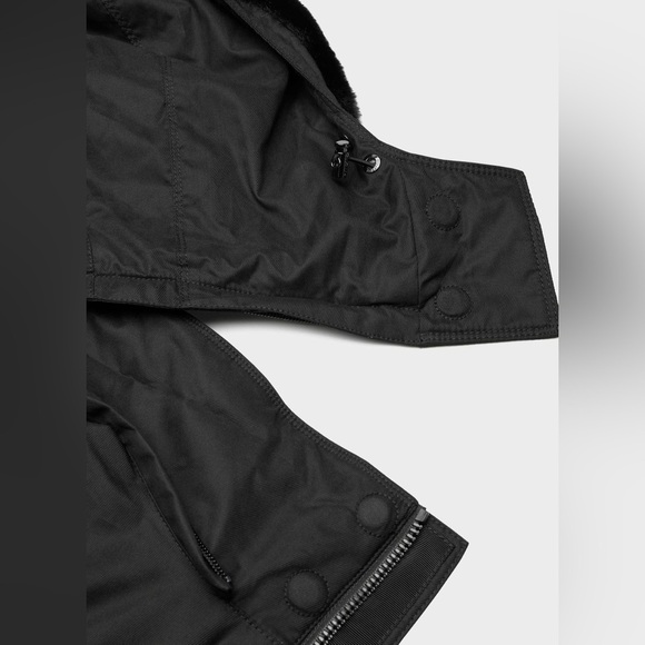 Aritzia Babaton Oskar Parka (1st Generation) - Picture 9 of 16